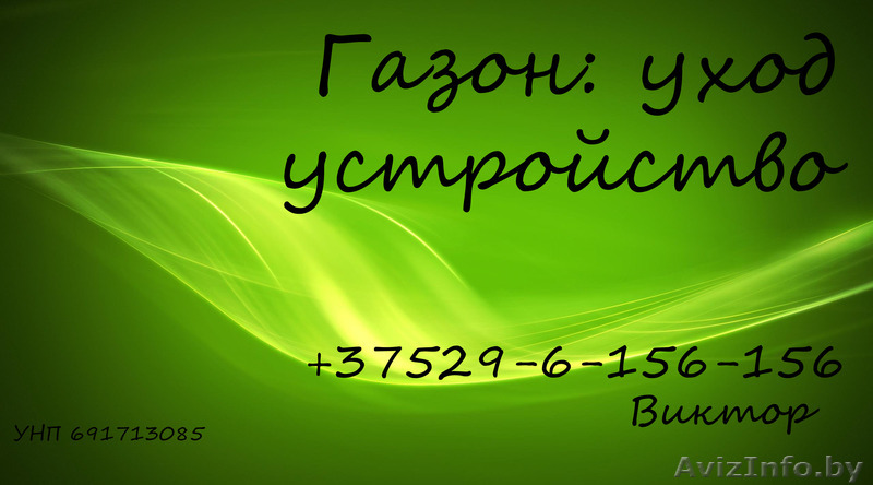 Устройсво, стрижка газона в Жодино и регионе (Борисов, Смолевичи) - Изображение #1, Объявление #1064202