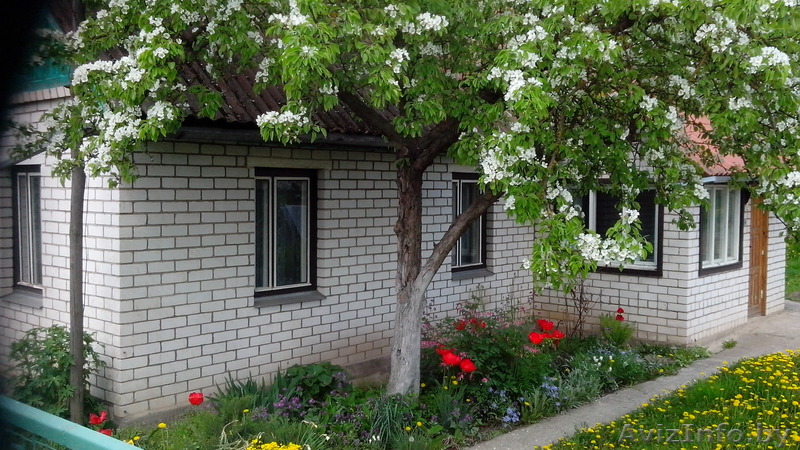 ул. ленинская,20 - Изображение #1, Объявление #1433612