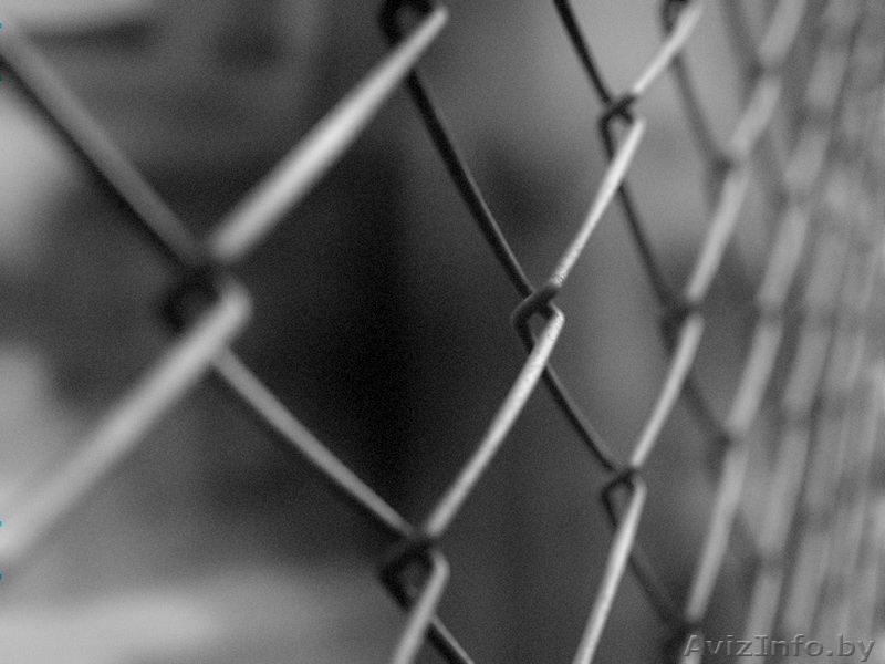 Сетка-рабица оцинкованная!От производителя!оптом и в розницу - Изображение #1, Объявление #1481042