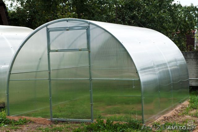 Теплицы от производителя. Доставка бесплатно Жодино - Изображение #1, Объявление #1478448