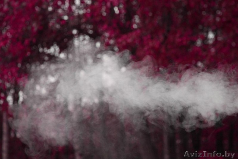 Профессиональная цифровая обработка фотографий - Изображение #1, Объявление #1563429