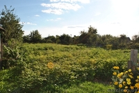 Продам дом в г. Жодино - Изображение #3, Объявление #222622