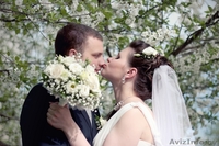 Фотограф на свадьбу. Скидки в сентябре-октябре! - Изображение #1, Объявление #945868