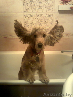 100%эмалировка ванн на дому, наливная ванна. - Изображение #1, Объявление #960783