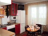 Однокомнатная квартира на сутки в Жодино - Изображение #5, Объявление #1031738