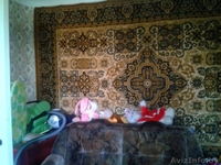 Дешевая квартира в Жодино - Изображение #3, Объявление #1144008