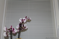 Рольшторы, жалюзи любых видов быстро качественно от производителя в Жодино - Изображение #3, Объявление #1177609