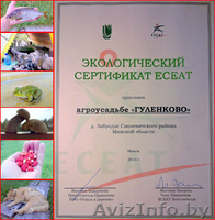 усадьба "Гуленково" - Изображение #1, Объявление #1228057