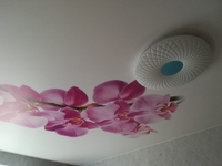 Натяжные потолки фото печать - Изображение #1, Объявление #1655404