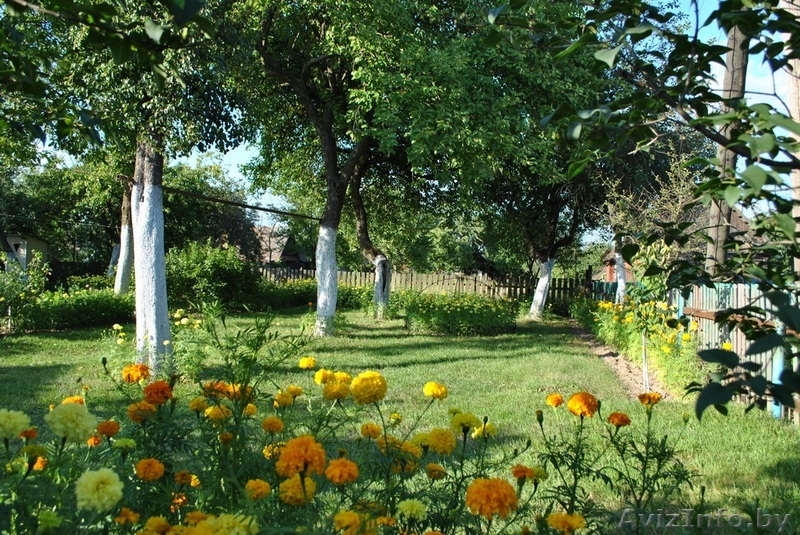 Продам дом в г. Жодино - Изображение #1, Объявление #222622