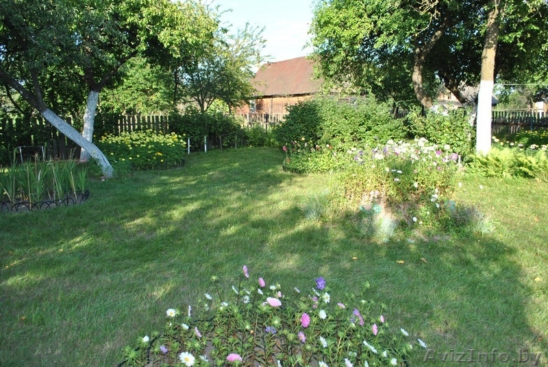 Продам дом в г. Жодино - Изображение #2, Объявление #222622