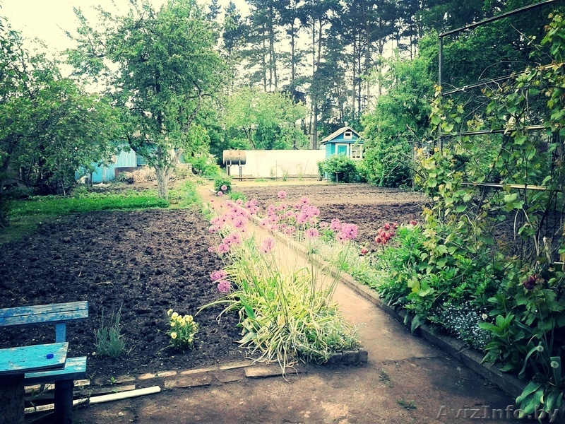 Продам жилую дачу,5 км. от Жодино,44 км. от Минска - Изображение #6, Объявление #853549