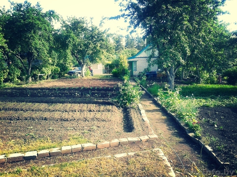 Продам жилую дачу,5 км. от Жодино,44 км. от Минска - Изображение #7, Объявление #853549