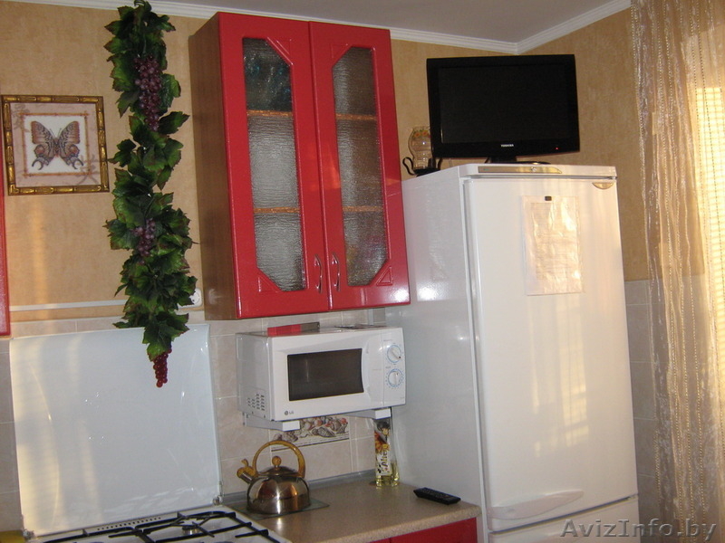 Однокомнатная квартира на сутки в Жодино - Изображение #9, Объявление #1031738