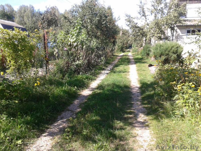 Дача в 3 км от Жодино - Изображение #10, Объявление #1144028