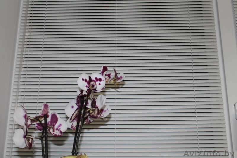 Рольшторы, жалюзи любых видов быстро качественно от производителя в Жодино - Изображение #3, Объявление #1177609