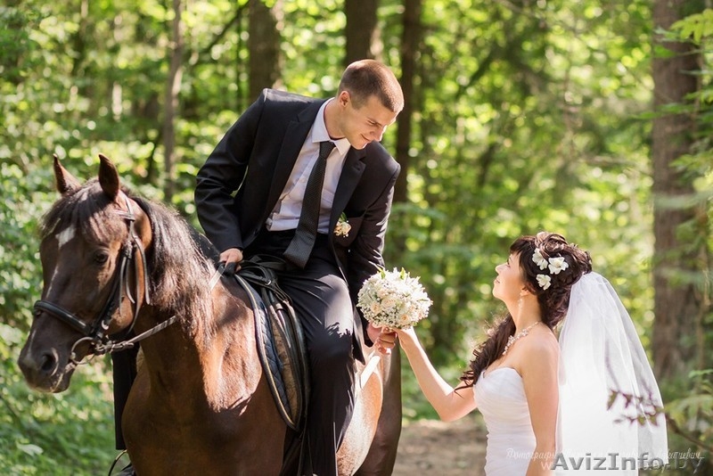 Профессиональный фотограф Жодино - Изображение #3, Объявление #1208835