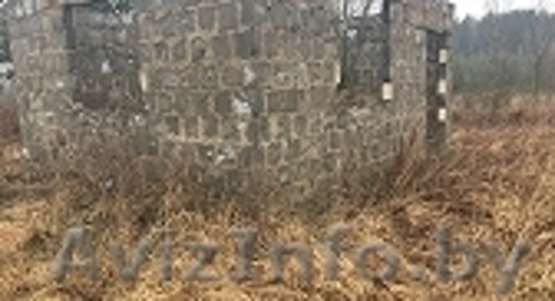 Продам 2 дачных участка с.т. Кальники Смолевичского района - Изображение #4, Объявление #1526507