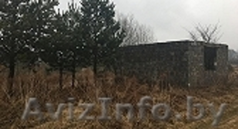 Продам 2 дачных участка с.т. Кальники Смолевичского района - Изображение #3, Объявление #1526507