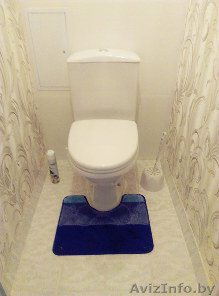 Большая  3-ка в центре,ремонт,WI-Fi.спальных мест 9. - Изображение #6, Объявление #1539396