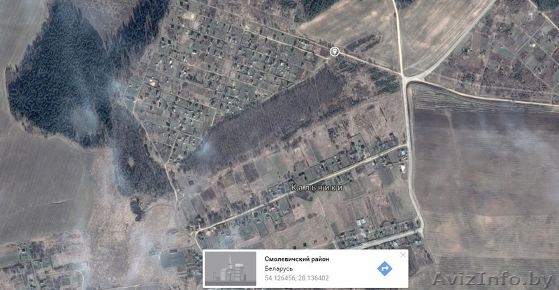 Продам 2 дачных участка с.т. Кальники Смолевичского района - Изображение #5, Объявление #1526507